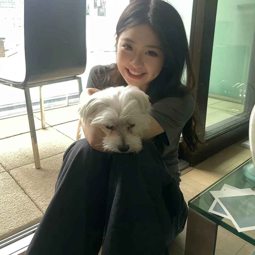 托梅斯的导盲犬